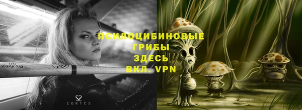 spice Алексин