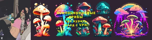PSILOCYBIN Бикин