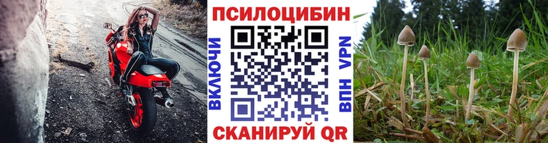 Псилоцибиновые грибы мухоморы Солнечногорск