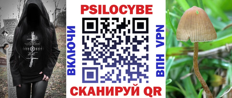 магазин наркотиков Солнечногорск Псилоцибиновые грибы GOLDEN TEACHER