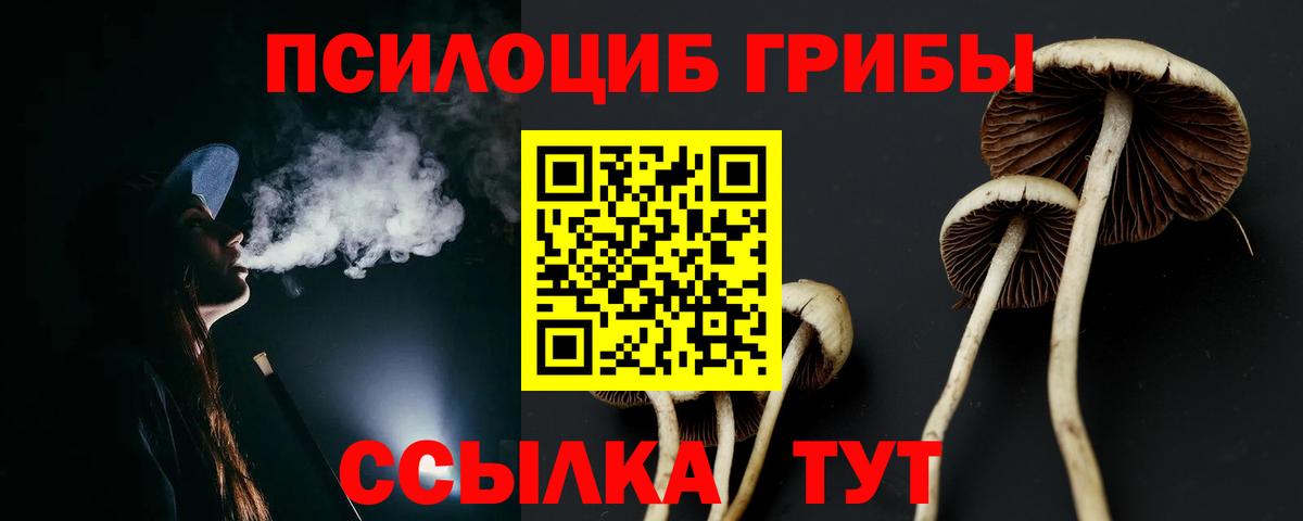 Галлюциногенные грибы Cubensis Солнечногорск